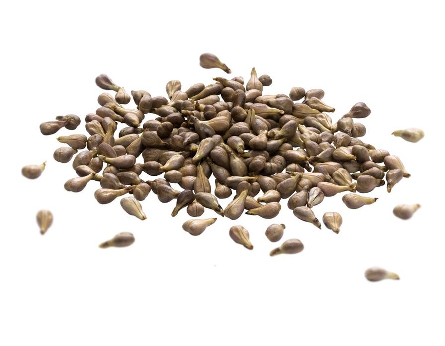 Kremi me varicone përmban vaj të farës së rrushit